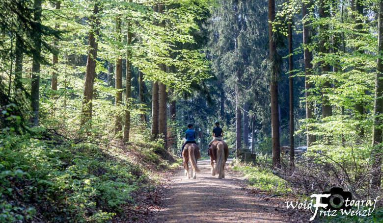 Scheune Anni Gutach Exteriér fotografie