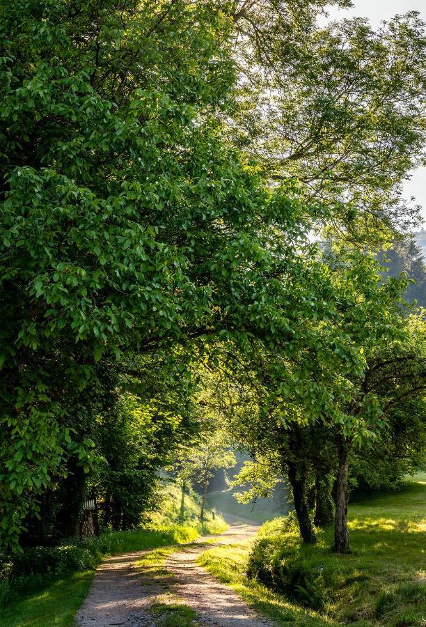 Scheune Anni Gutach Exteriér fotografie